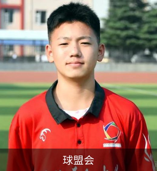 关于球盟会